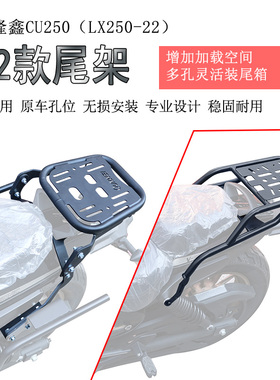 适用无极CU250后货架尾箱架尾箱支架LX250-22后靠背腰靠折叠靠背
