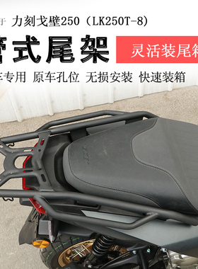 适用于力刻戈壁250后货架尾箱架支架后衣架LK250T-8扶手尾翼改装