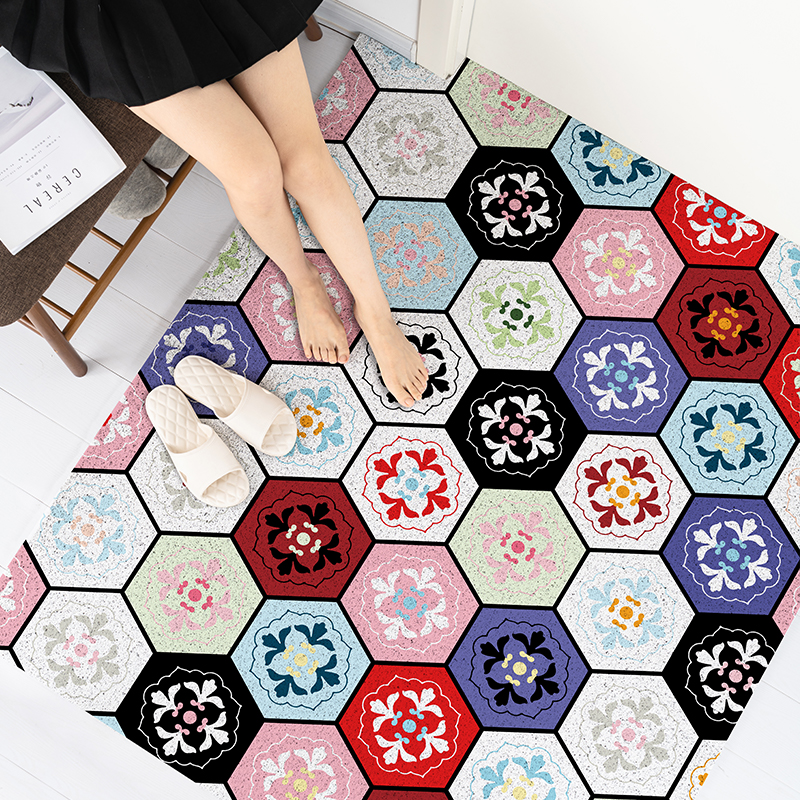 入户进门丝圈玄关地垫