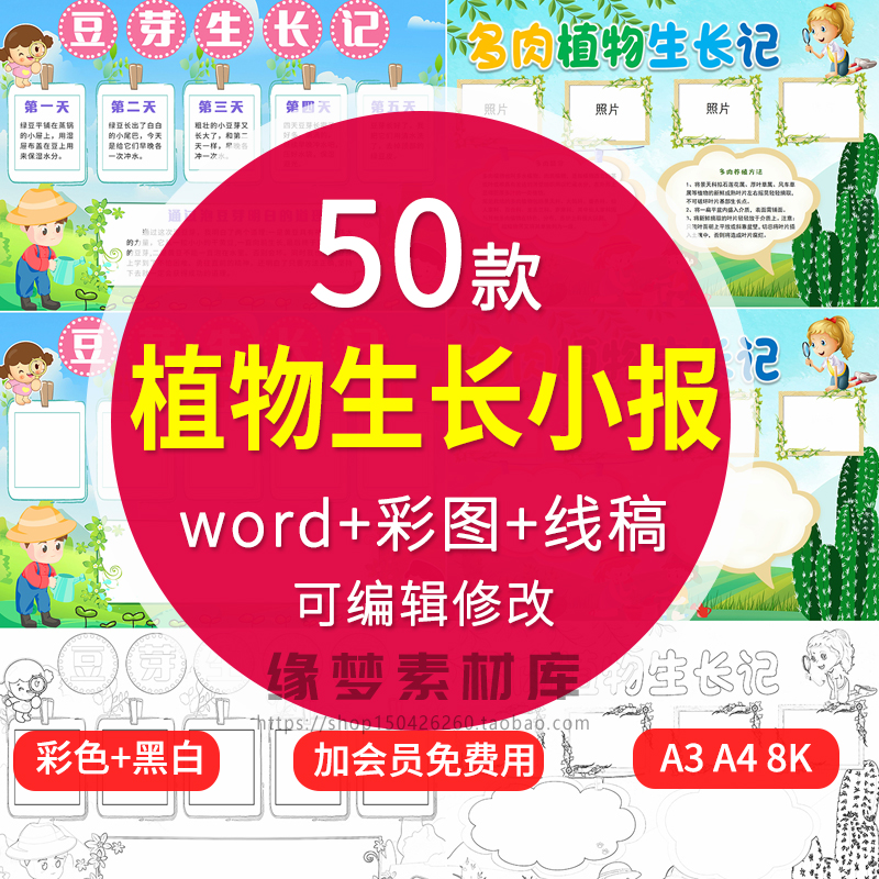 小学生植物生长手抄报word模板小报土豆大蒜豆芽观察日记电子版