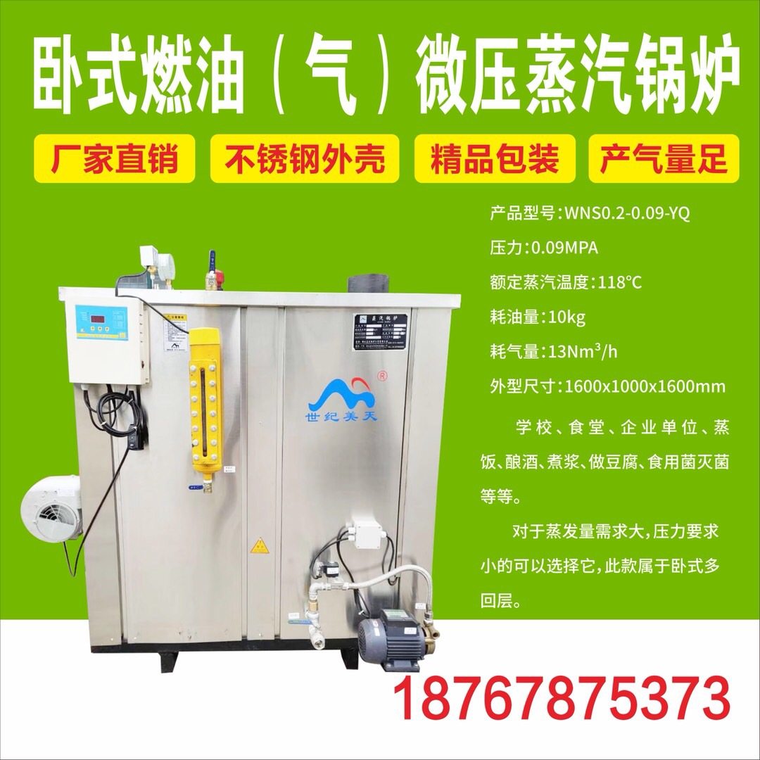 商用全自动酿酒豆腐煮浆养殖卧式汽水两用炉燃油燃气节能蒸汽锅炉