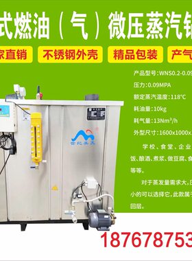 商用全自动酿酒豆腐煮浆养殖卧式汽水两用炉燃油燃气节能蒸汽锅炉