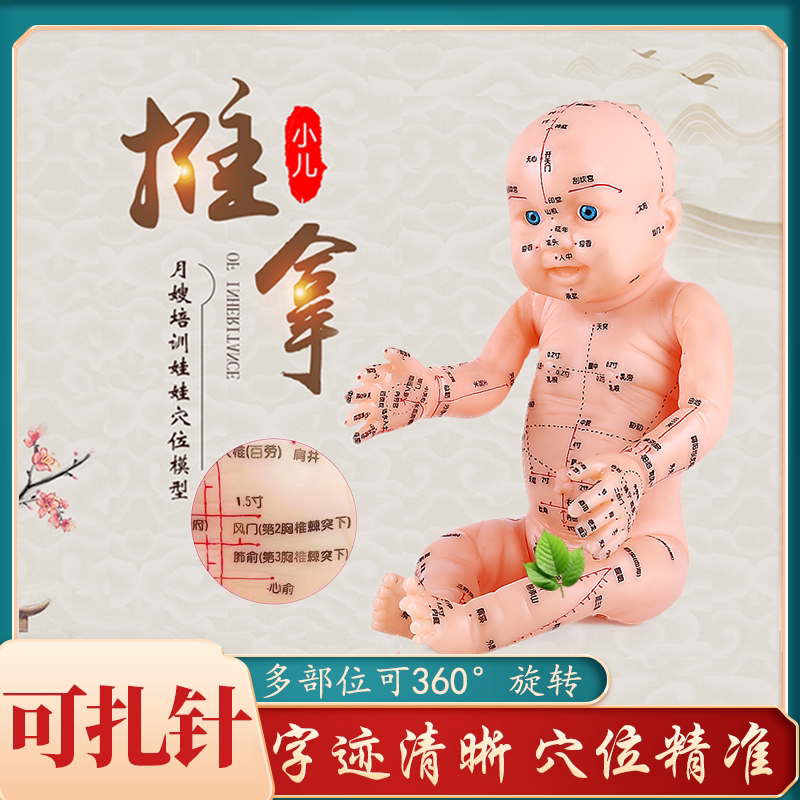 小儿推拿模型雕刻穴位清晰可扎针