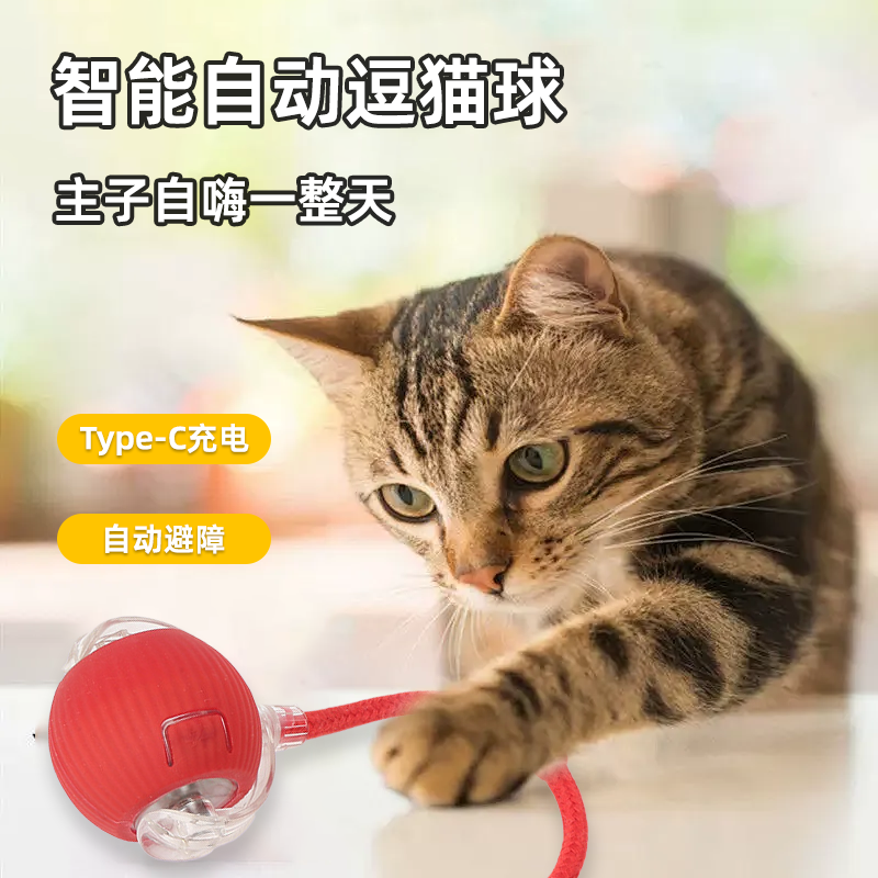 宠物猫逗猫球自嗨解闷神器