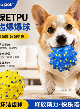 Aidoupet狗狗玩具ETPU洁齿爆爆球实心耐咬磨牙解闷神器小中大型犬