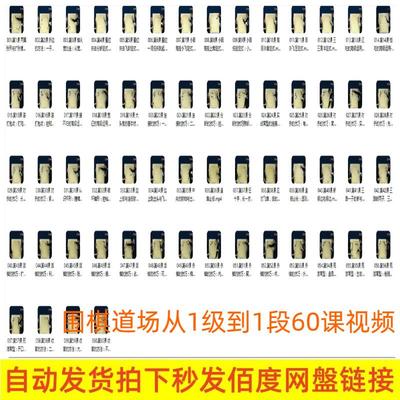 卫平围棋聂道场从1级到1段60课视频名师课讲解录播教棋过程冲段班