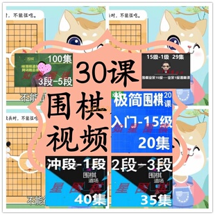 棋圣聂卫平围棋视频学围棋全套课 儿童入门初学教棋过程围棋视频