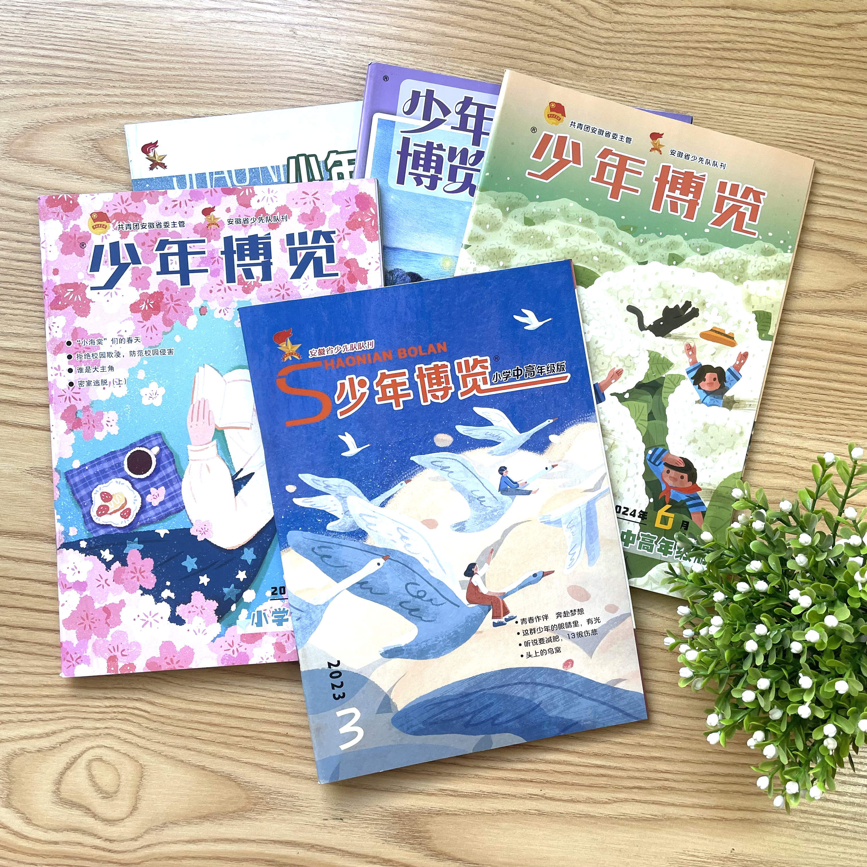 少年博览中高年级2023年新刊到