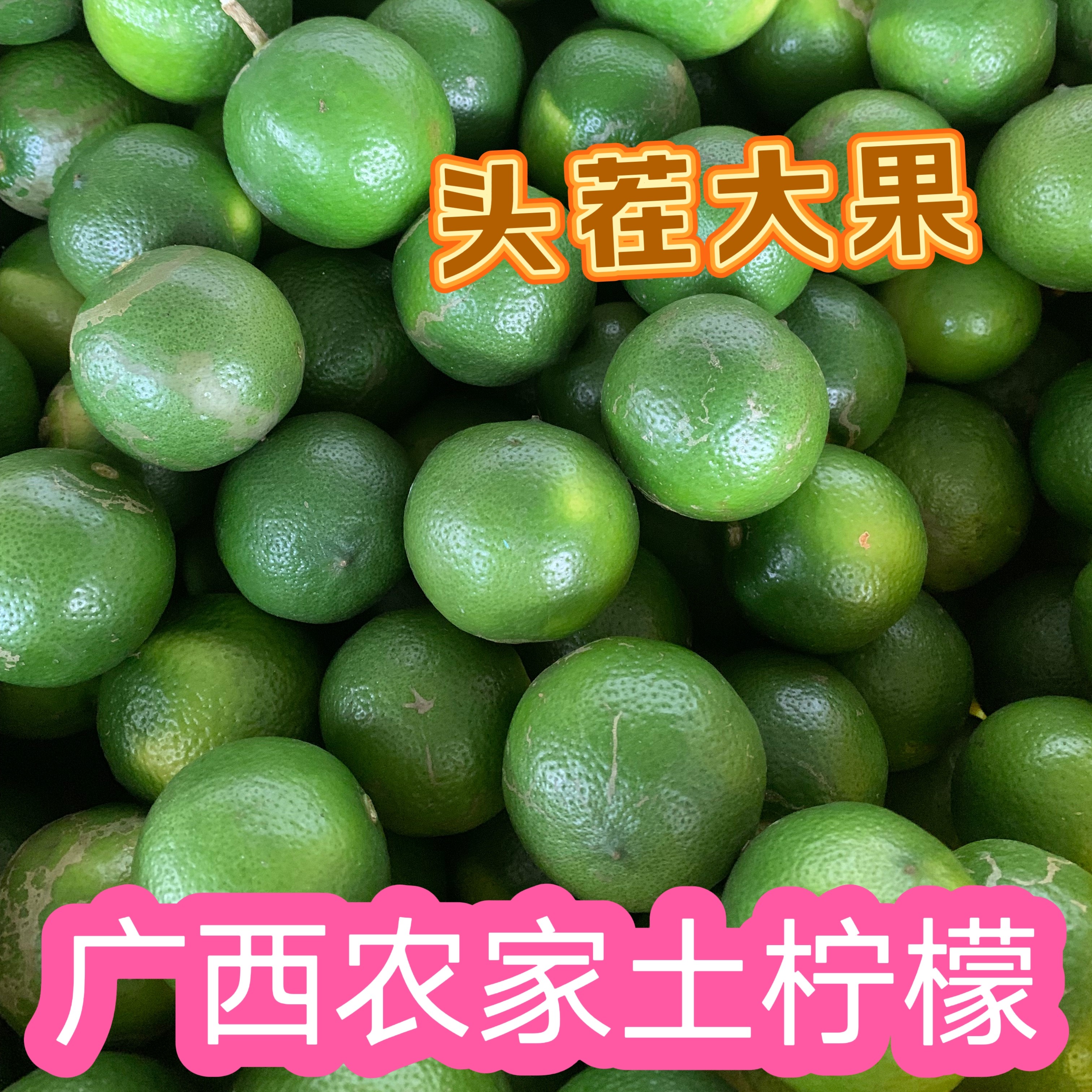 新鲜采摘老树土柠檬 正宗广西农家老品种薄皮牛脚子 腌咸柠檬专用