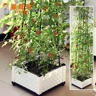 易栽樂2.5S陽臺菜園種菜盆種植箱樓頂種菜箱種植槽長方形塑料花盆