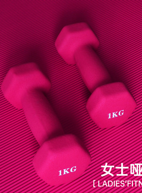 彩色女士小哑铃一对跳操塑臂身1/2kg3/5健身运动儿童深蹲甩摆家用