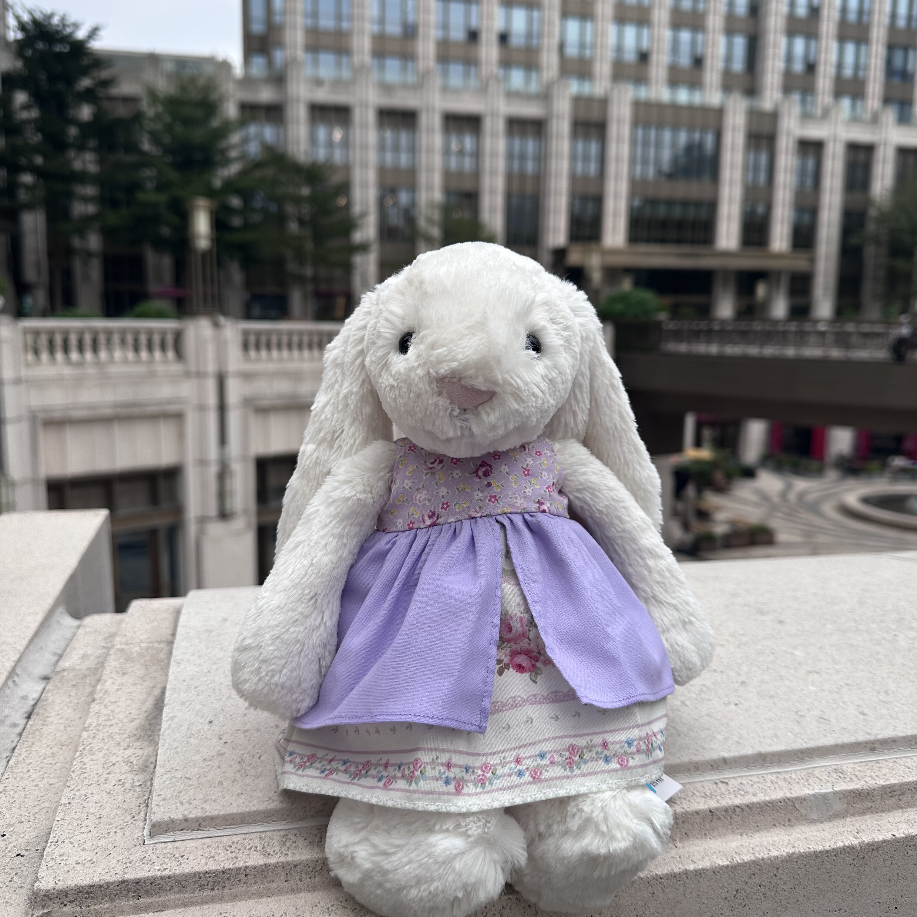 jellycat邦尼兔子衣服害羞小兔子紫色裙子款31CM中号兔子衣服