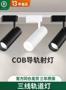 雷士照明LED射灯COB轨道灯客厅餐厅家装商用服装店展厅明装导轨灯