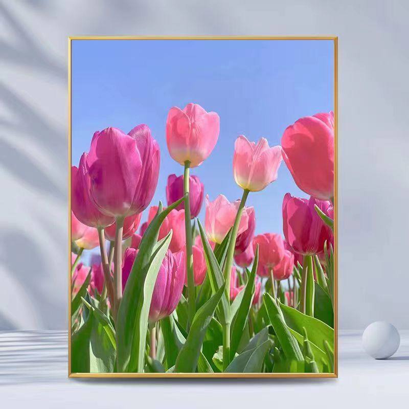 带框钻石画满钻魔方钻贴钻绣欧式卧室客厅唯美花卉粉色郁金香新款,居家布艺,钻石绣,淘宝优惠券,粉丝福利购,淘宝优惠卷