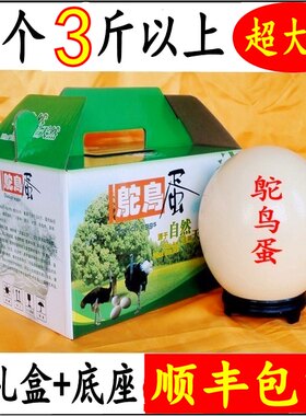 顺丰包邮新鲜鸵鸟蛋超大号食用小驼鸟苗肉非洲鸸鹋蛋端午节礼品