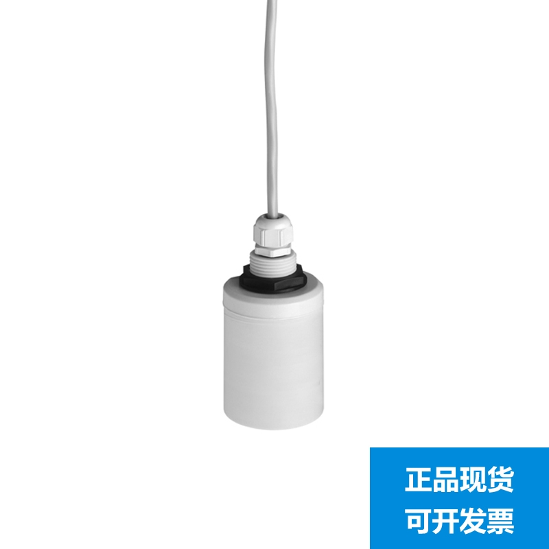 E+H声波液位计探头 FDU91-RG2AA 恩德斯豪斯Endress+Hauser