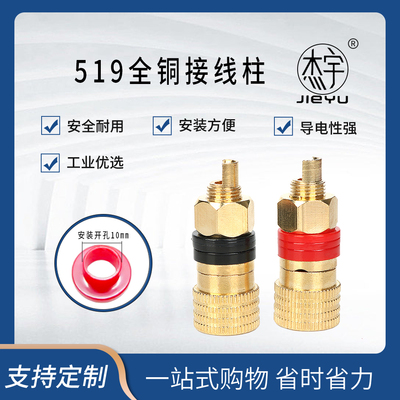 519纯铜接线柱m8充电机端子