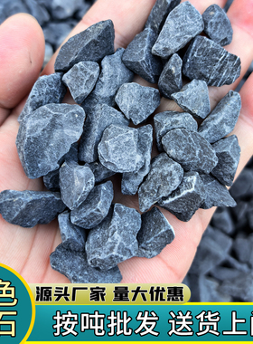 黑色砾石深灰色水洗石头枯山水园林景观庭院造景户外铺地小碎石子