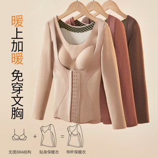 罗丽丝6812秋冬羊毛蚕丝德绒长袖 保暖带胸垫宫廷塑身排扣收腹打底