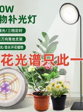 100W全光谱植物补光灯阳台仿太阳光照模拟灯花卉绿植三角梅生长灯