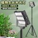 防水户外仿太阳全光谱50 200W阳台神器灯植物生长补光灯花卉蔬菜
