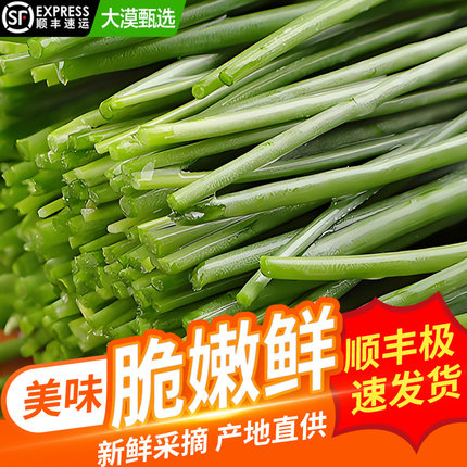 【顺丰包邮】沙葱新鲜甘肃民勤特产火锅食材野菜香葱小葱新鲜蔬菜