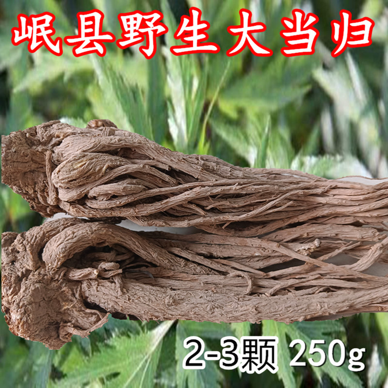 当归250g野生当归整颗正品干甘肃岷县中草药无硫泡水非500克可粉 传统滋补营养品 当归 原图主图