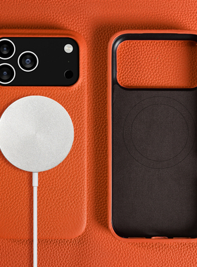 荔枝纹真皮适用苹果17Promax手机壳Air新款16Pro保护套轻奢高级感奢华15Plus磁吸全包软皮质14防摔牛皮13外壳