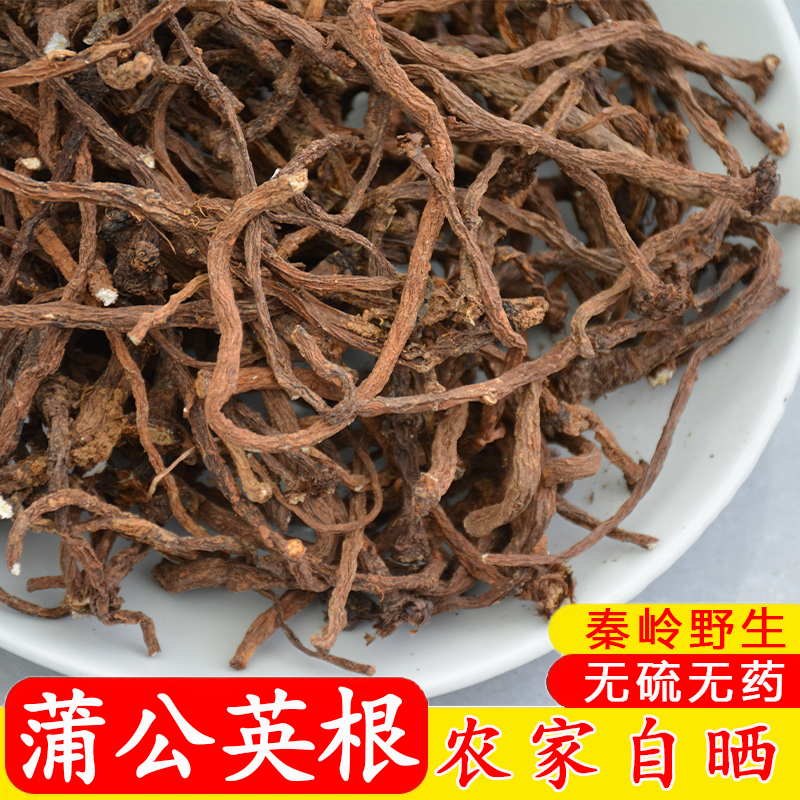 湖北武当山【干蒲公英根】野生中药材婆婆丁茶天然黄黄苗泡水干货