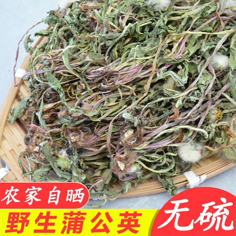 野生蒲公英武当山[农家自晒]天然整棵带根新鲜婆婆丁茶黄黄苗干货