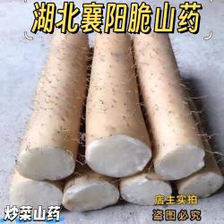 2025新鲜脆山药现挖粗山药脆淮山药襄阳脆山药炒菜粗脆怀山药