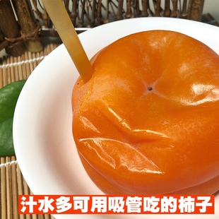 磨盘柿保定冰柿产区易县柿子鲜柿子大个软柿子保定特产狼牙山柿子