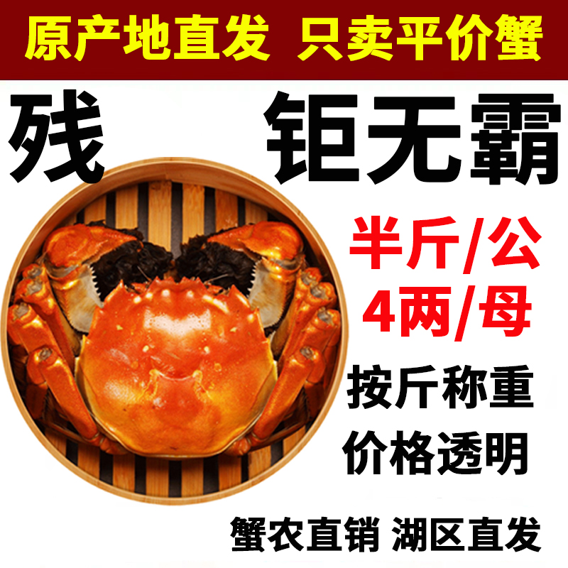 半斤5两超大残蟹断脚蟹