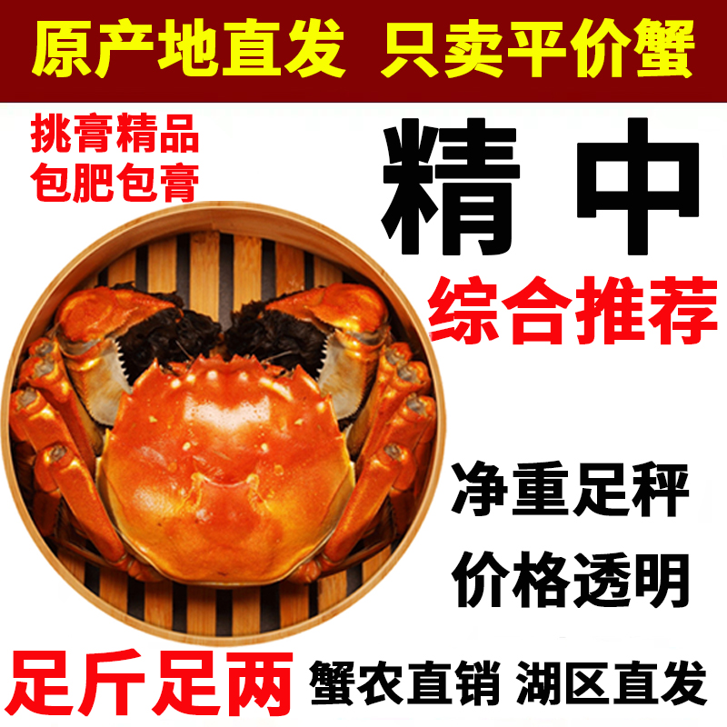 精品固城湖大闸蟹中档综合推荐