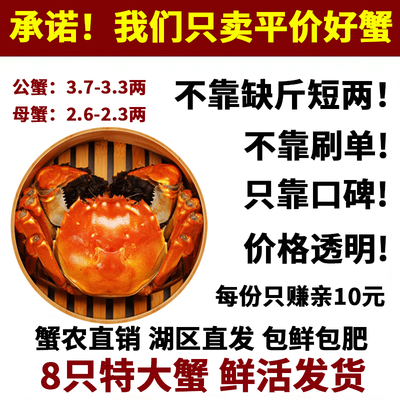 净重大闸蟹固城湖8只顺丰包邮