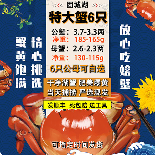 净重固城湖大闸蟹公母可选顺丰