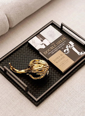 客厅金属托盘皮革装饰品简约