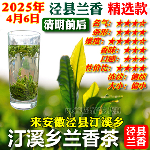 泾县兰香精选款2025年新茶清明前后茶叶宣城汀溪兰香型春绿茶包邮