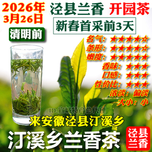泾县兰香开园茶2026年新茶清明前茶叶宣城汀溪兰香型春茶绿茶包邮