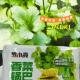 罗小亮香菜锅巴268克
