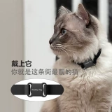 Отслеживание приборов для прибора для домашних животных CAT Anti -Defense Device Отслеживание интеллектуального воротника в погоне за каблуком Dog Dog -позиционер Android iOS