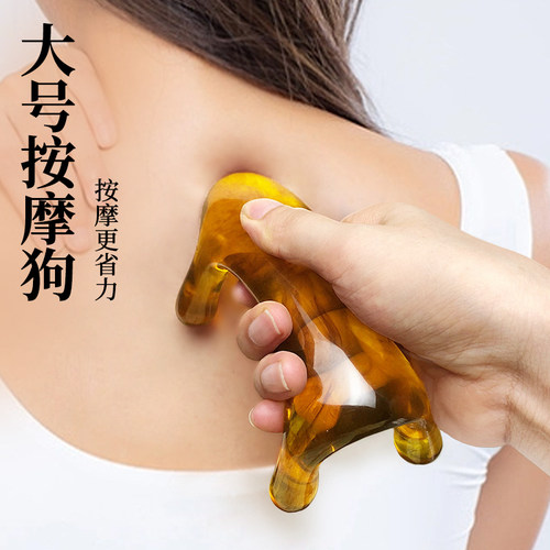 美容院推荐！经络按摩狗脊柱按摩