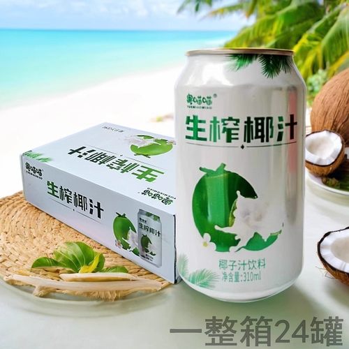 生榨椰子汁饮料整箱椰肉汁