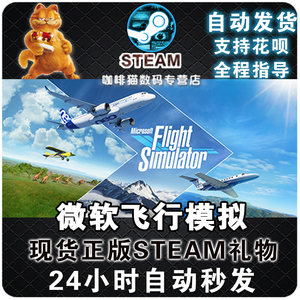 正版游戏微软模拟飞行多人steam