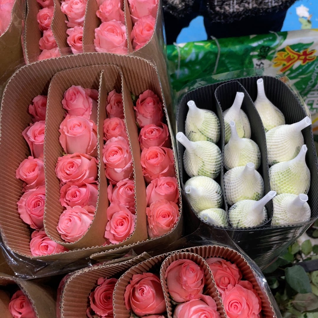 坦尼克20支加黛安娜20支 包邮