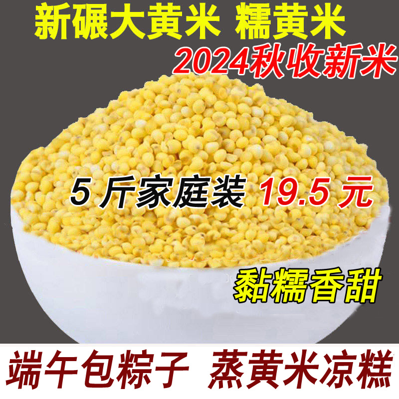 新大黄米端午包粽子用黄糯米新米