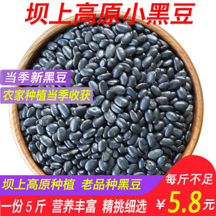 农家自种黑小豆 小黑豆 黄心老品种黑肾豆醋泡黑芽豆坝上新豆5斤