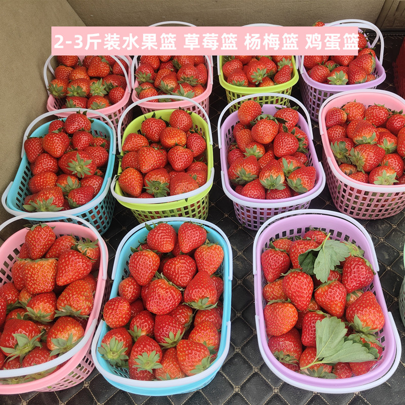 2斤装草莓篮水果篮商用手提果篮