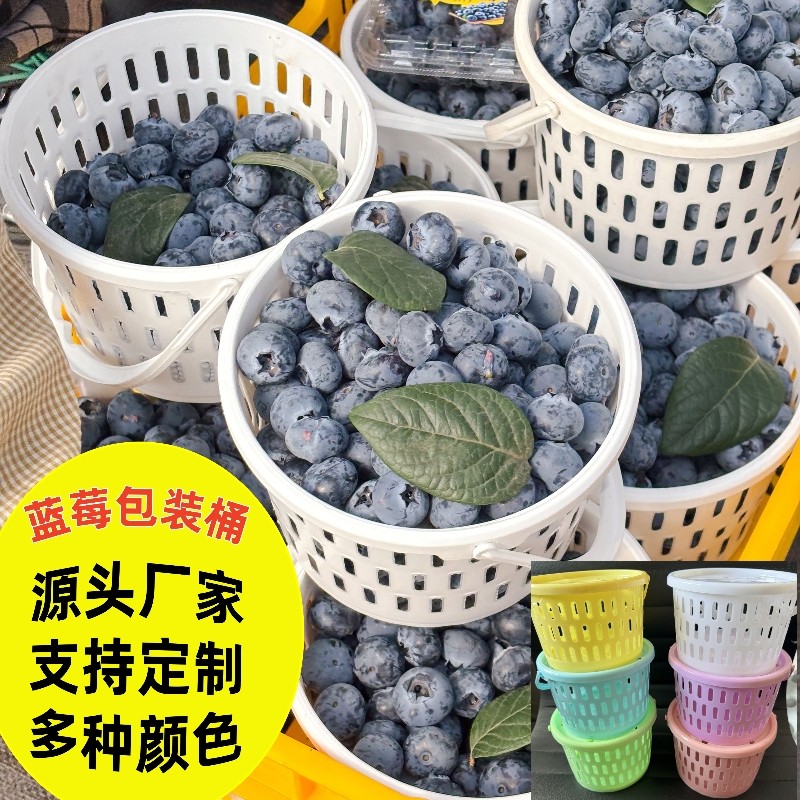 1斤2斤装蓝莓包装篮桶圆形采摘篮杨梅小篮子塑料小桶樱桃篮带盖子