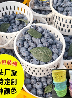 蓝莓包装篮包装桶圆采摘篮杨梅小篮子塑料小桶樱桃篮小白篮带盖子
